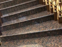 英国棕-红底-3
