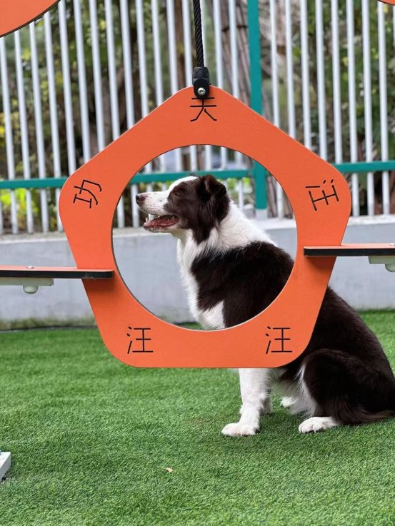 微信图片_20260421180155_5550_25