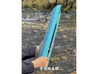 追鱲