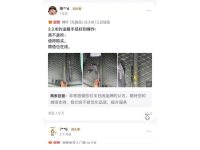 客户评价-6-