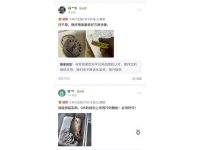 客户评价-31-
