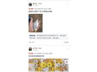 客户评价-32-