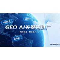GEOAI推广-11-