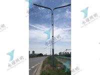高陵项目市电路灯案例图-2