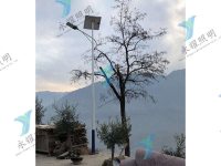 陇南项目太阳能路灯-2