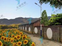 洛南县国家油松良种基地项目太阳能路灯图-1