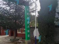 洛南县国家油松良种基地项目太阳能路灯图-2