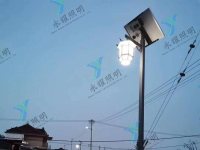 陕南项目庭院灯图-2