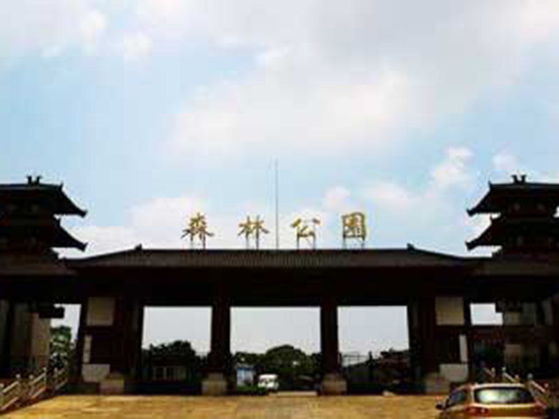 image-20240611104250-1