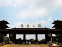 image-20240611104250-1