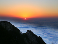 image-20240611110043-1