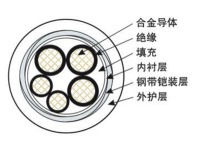 钢带铠装合金电缆