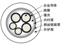 细钢丝铠装合金电缆