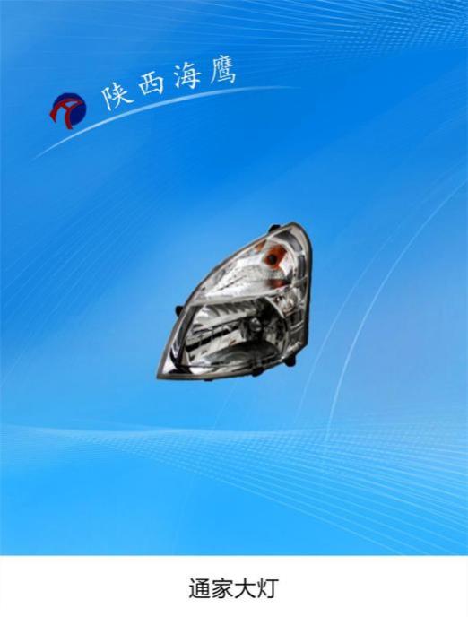 通家大灯