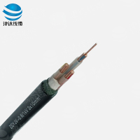 ZC-YJV3_10铜芯交联聚乙烯绝缘聚氯乙烯护套阻燃C类电力电缆