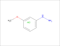 3-甲氧基苯肼盐酸-CAS39232-91-2