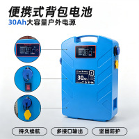 POEAE-LL-05019.2V30Ah-3