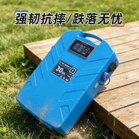 POEAE-LL-05019.2V30Ah-2