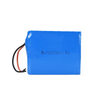 POEAE-LL-04625,9V15.6Ah