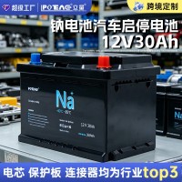LL-1230-A12v30Ah-2