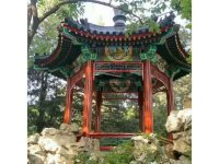 案例展示-5-