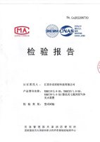 5悬挂式电磁型检验报告