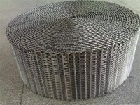 不锈钢网带6