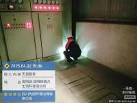 灭鼠服务-8-