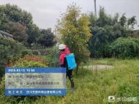 灭鼠服务-14-