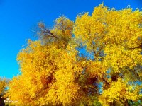 e20160909103727110072