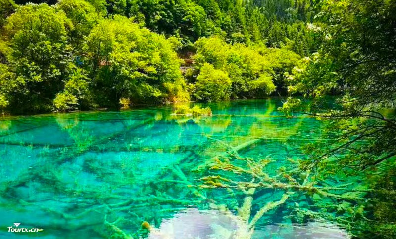 e20170722102754141109