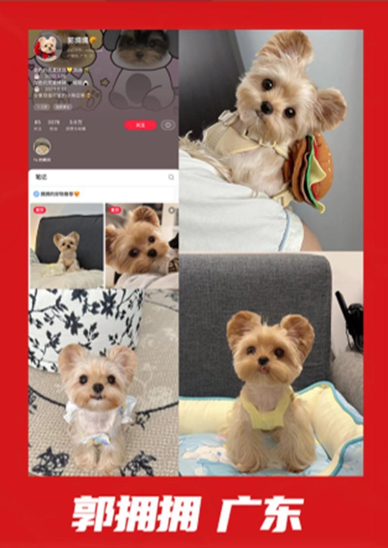 案例展示-18-