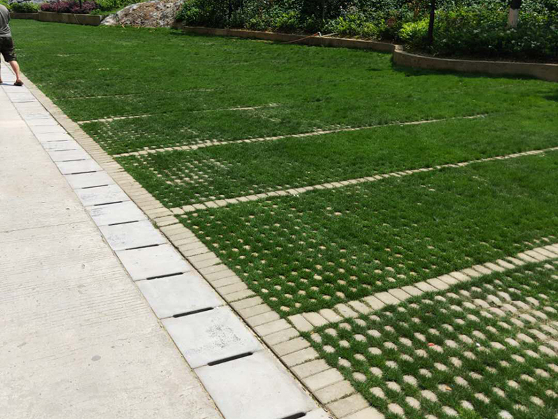 image-20240823172420-1