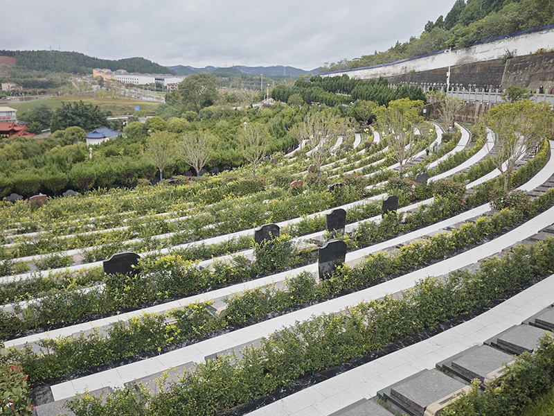 百芳公墓-3