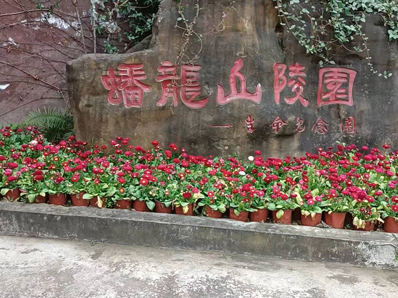 蟠龙山陵园-1