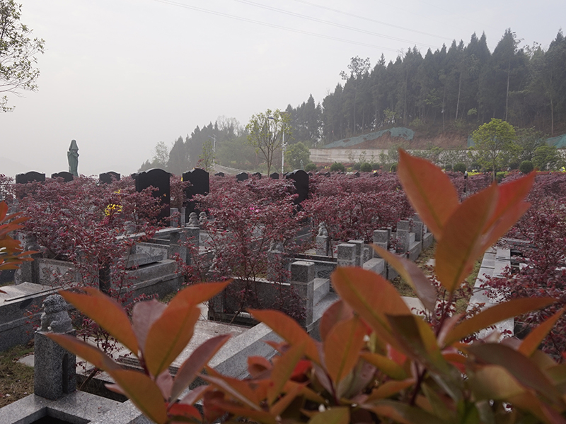 仙海福寿陵园-5