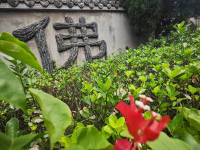 兴隆塔陵-5