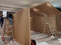 案例展示-2-