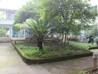 院内环境7