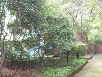 院内环境8