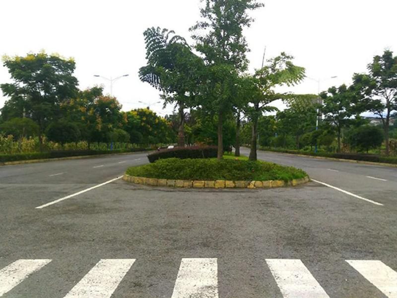 周边环境川主路