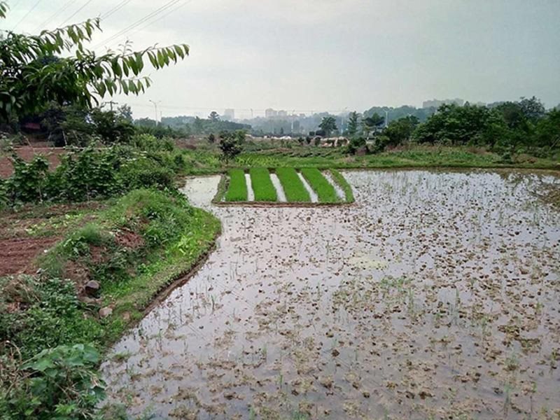 周边环境3