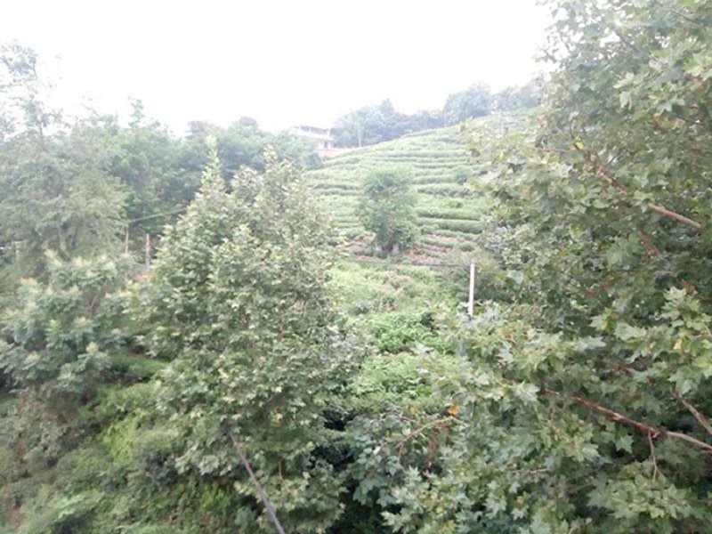 周边环境11