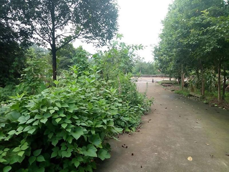 周边环境27