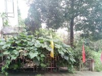 周边环境28