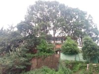 周边环境30
