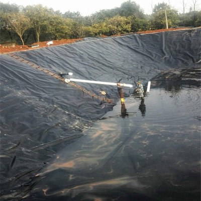 崇左猪场污水池防渗膜施工现场