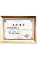 新站企业高成长奖
