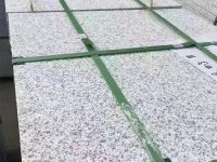 芝麻白-1-