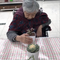 领养植物